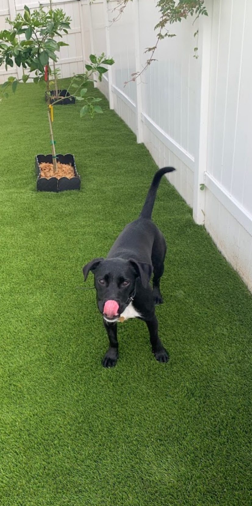 Synthetic and Artificial Turf for North Florida and South Georgia