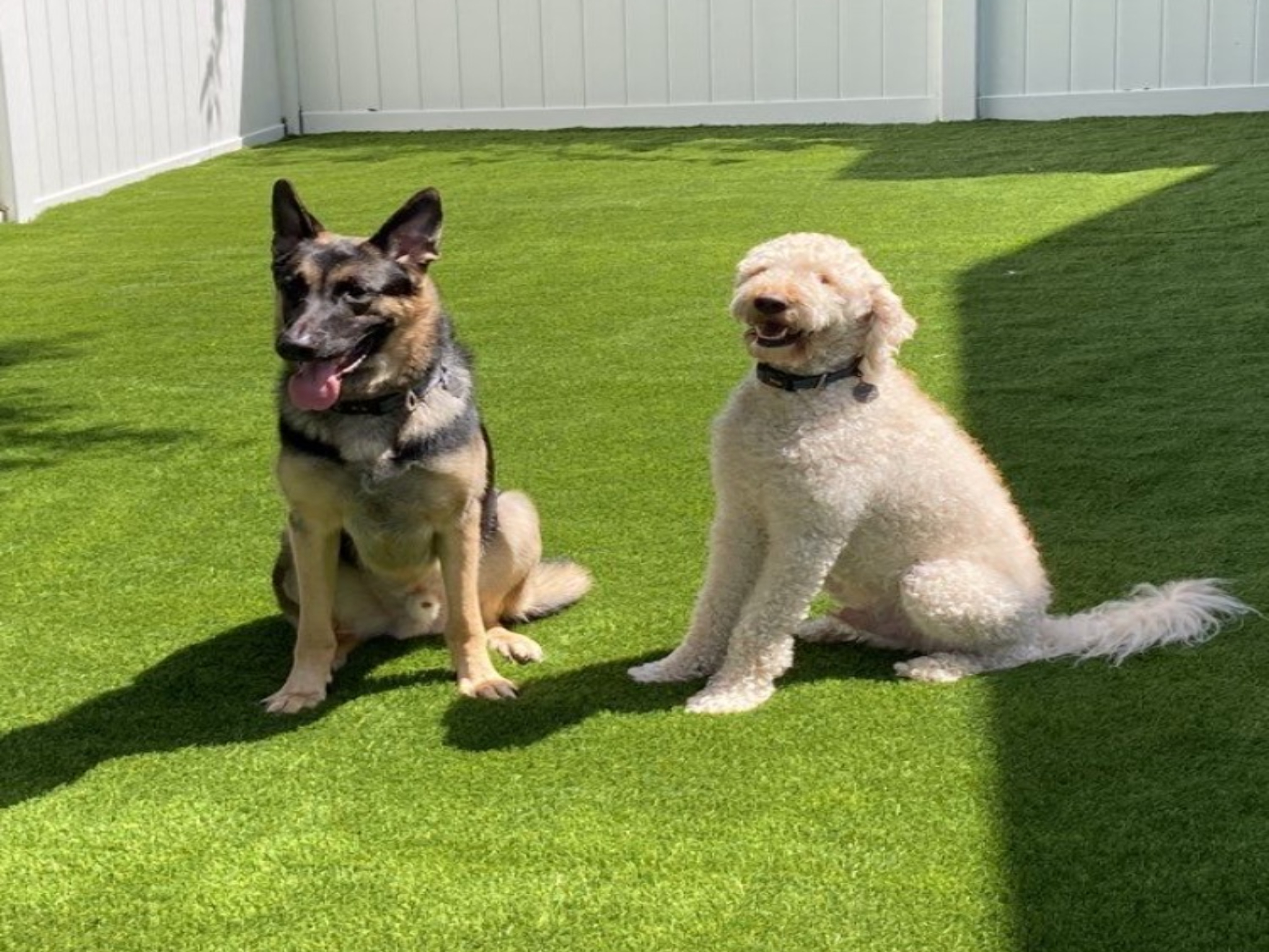 Synthetic and Artificial Turf for North Florida and South Georgia