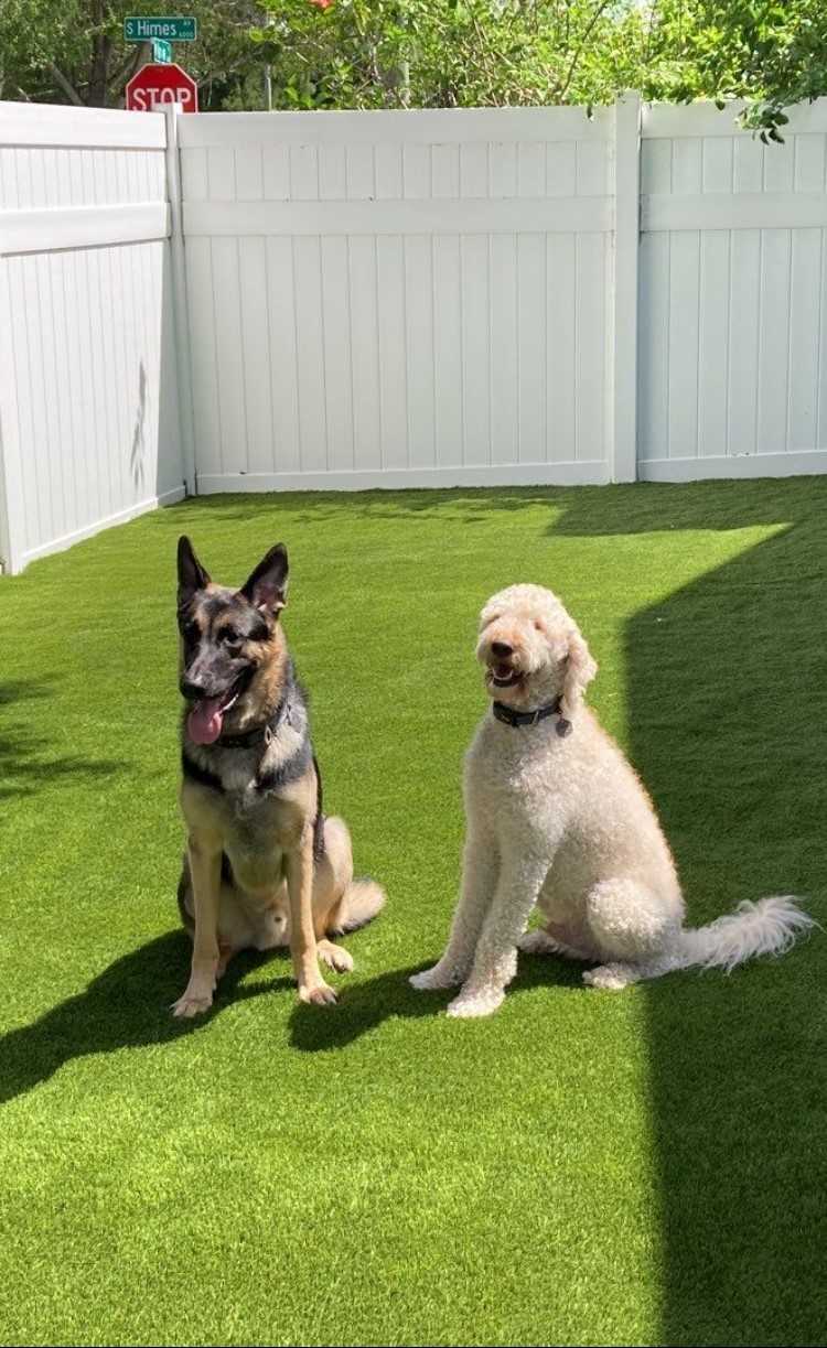 Synthetic and Artificial Turf for North Florida and South Georgia